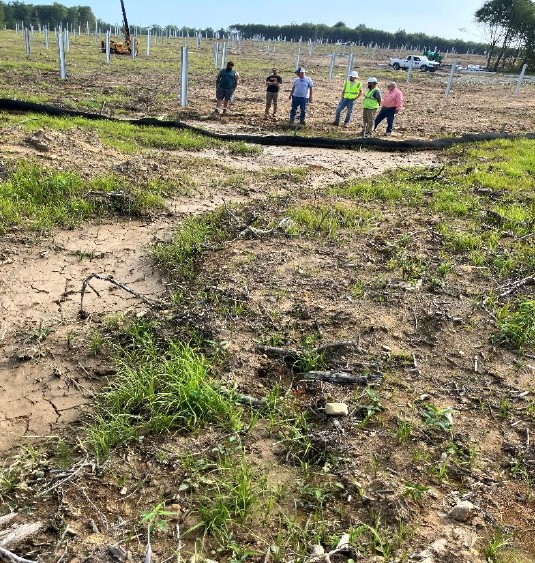 Drainage channel and muddy water conditions at Clermont Solar site